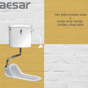 Ảnh công trình thực tế Bồn Cầu Xổm CAESAR CT1250 Kèm Thùng Nước Treo Tường