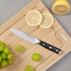 Dao gọt thép Đức KONOX Emmitt Paring Knife Series 4.5″ - ảnh 2