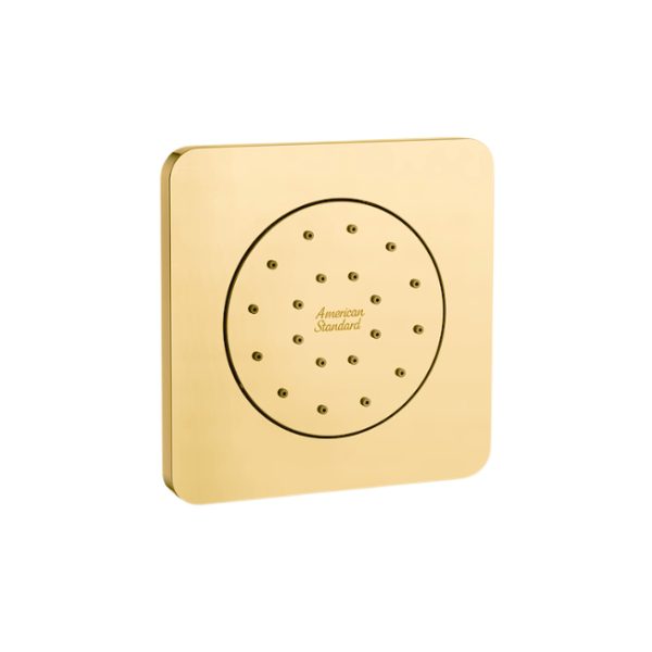 Đầu vòi sen tắm âm tường American Standard FFASS054CS