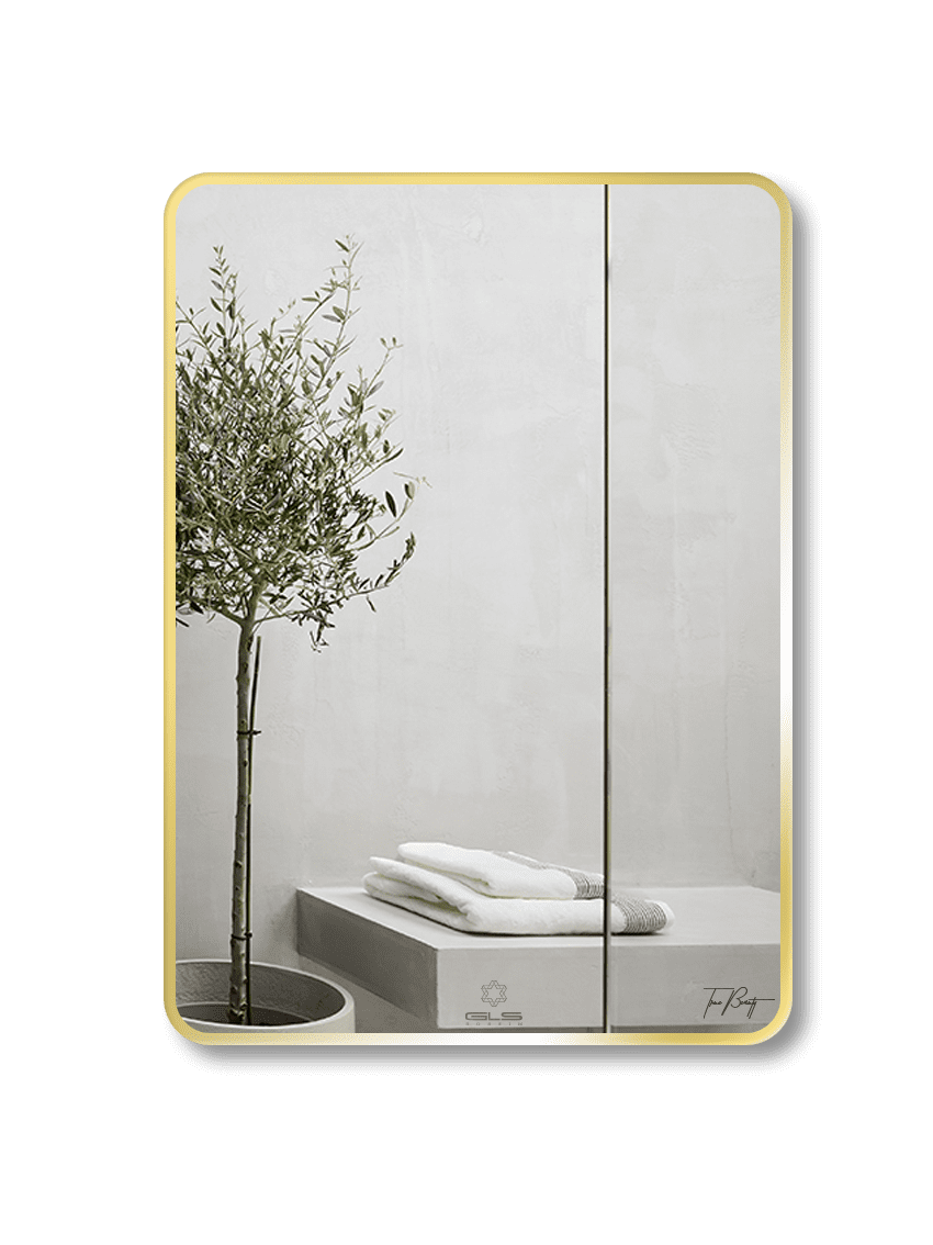Gương GLS F11R30 Chữ Nhật Viền Nhôm Đen Dòng F 50x70cm