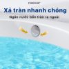 Lavabo Caesar dương bàn L5022 - ảnh 4