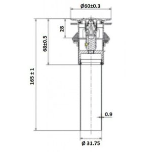 Ảnh công trình thực tế Nút Xả Nhấn cho Lavabo American Standard FFAS7979