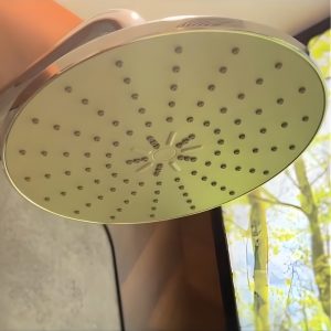 Ảnh công trình thực tế Sen cây nóng lạnh Luxta L7223N