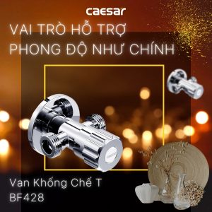 Ảnh công trình thực tế Van khóa chữ T Caesar BF428