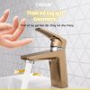Vòi lavabo Caesar nóng lạnh B390CGU - ảnh 5