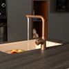 VÒI Rửa Bát DÂY RÚT NÓNG LẠNH MANIA NB217B - ảnh 19
