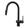 Vòi rửa bát Kluger KLF0008SB
