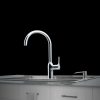 VÒI Rửa Bát NÓNG LẠNH RING NB132 - ảnh 21