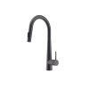 Vòi rửa chén Hafele HT24-SH1P417 567.24.498 màu đen