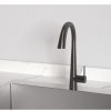 Vòi rửa chén Hafele HT24-SH1P417 567.24.498 màu đen - ảnh 2
