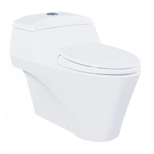 Bàn Cầu TOTO CW823NW/F Một Khối Nắp TC393VS