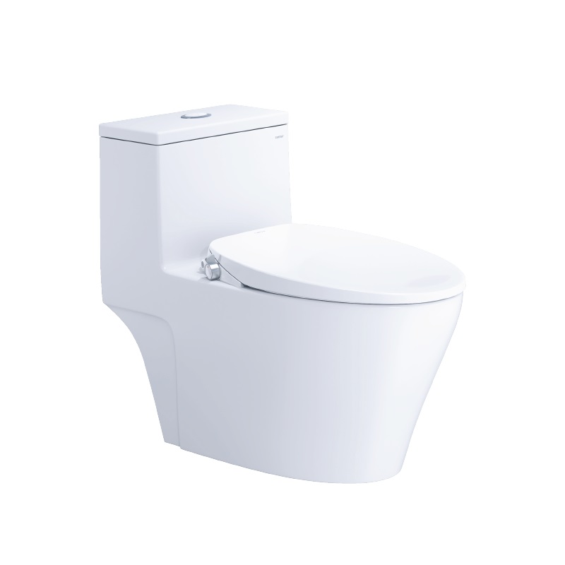 Bồn cầu 1 khối nắp rửa cơ C1356F/TAF060
