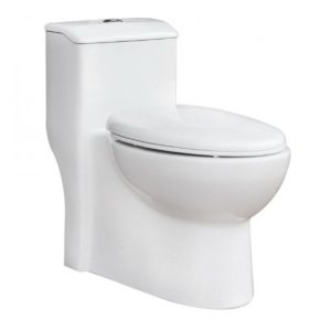 Bồn Cầu Thiên Thanh Titan CK68 Toilet 1 Khối Xả Nhấn
