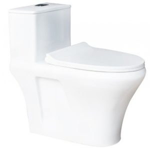 Ảnh công trình thực tế Bồn Cầu Thiên Thanh Venus CK86 Toilet 1 Khối Xả Nhấn