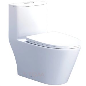 Bồn Cầu CAESAR C1363 (CD1363) 1 Khối Nắp Êm
