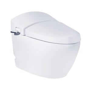 Ảnh công trình thực tế Bồn Cầu COTTO C10037 Một Khối Terranova Cao Cấp