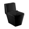Bồn Cầu COTTO C1032 MBK 1 Khối Nắp Êm Màu Đen