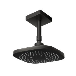 Ảnh công trình thực tế Bát sen tắm gắn trần TOTO TBW02003B1A dáng vuông 210 mm