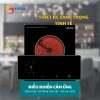 Bếp Điện Malloca DZ 01R - ảnh 2