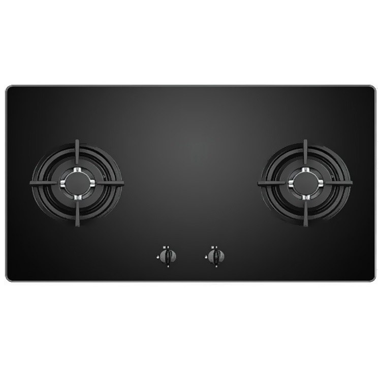 Bếp Gas Âm Faster FS-202GB
