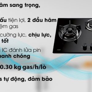 Ảnh công trình thực tế Bếp Gas Âm Faster FS 319S