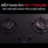 Bếp Gas Âm Paloma PD-T75CSB - ảnh 2