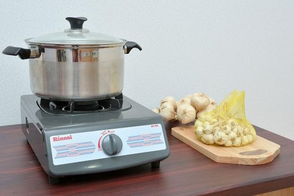 Bếp Gas Đơn Rinnai RV-150(AR)