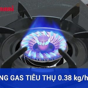 Ảnh công trình thực tế Bếp Gas Dương Rinnai RV-375(SW)