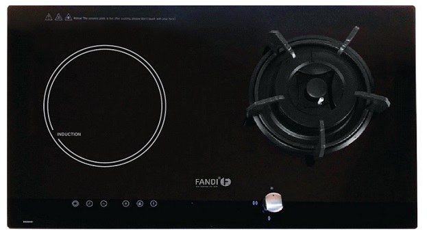 Bếp Gas Kết Hợp Từ Fandi FD – 293 GID