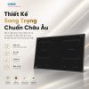 Bếp Từ Binova BI-166Plus - ảnh 2