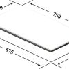 Bếp Từ Canzy CZ-702IPA - ảnh 2