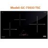 Bếp Từ Giovani GC-73033 TSC