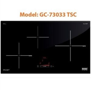 Bếp Từ Giovani GC-73033 TSC