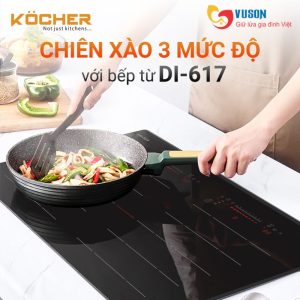 Ảnh công trình thực tế Bếp Từ Kocher DI-617