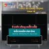Bếp Từ Lorca LCI-667TH - ảnh 2