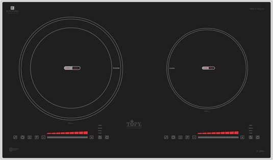 Bếp Từ Topy TP - A66Plus