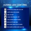 Bộ Tủ Chậu Phòng Tắm 80cm BASIC QG800-QK8-QL901V