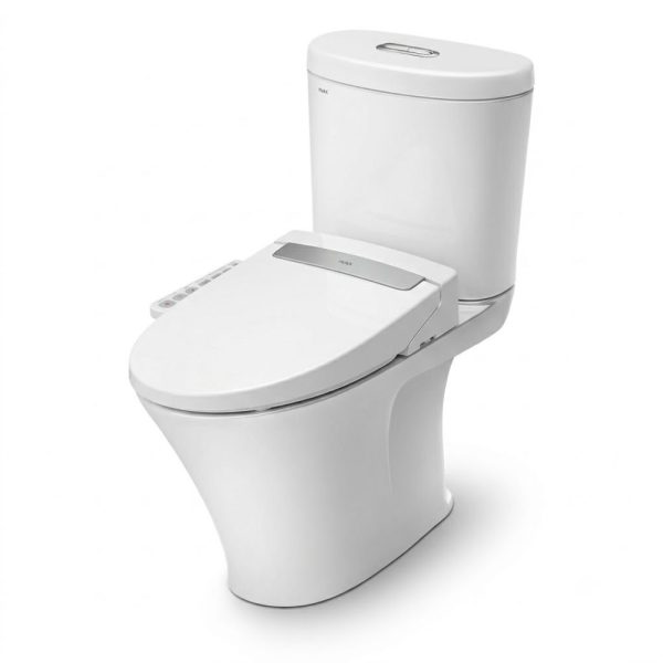 Bồn cầu 2 khối INAX C-700A/CW-H20VN nắp rửa điện tử phun massage
