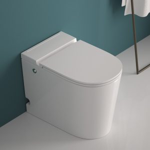 Ảnh công trình thực tế Bồn Cầu Bán Điện Tử 304 Ecod 304