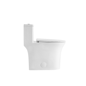 Ảnh công trình thực tế Bồn Cầu Công Thái Học BASIC NOMA-420