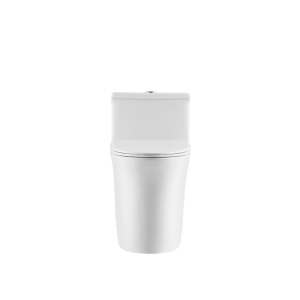 Ảnh công trình thực tế Bồn Cầu Công Thái Học BASIC NOMA-420