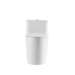 Ảnh công trình thực tế Bồn Cầu Công Thái Học BASIC SOLA-420