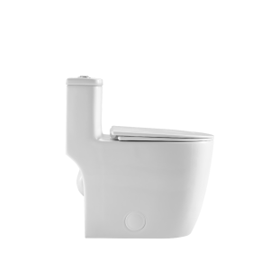 Ảnh công trình thực tế Bồn Cầu Công Thái Học BASIC SOLA-420