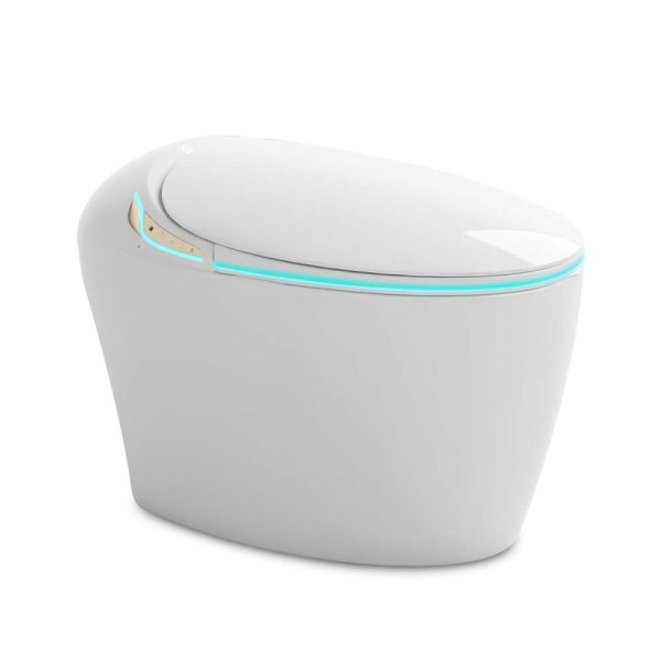 Bồn Cầu Điện Tử Ecod EBS339