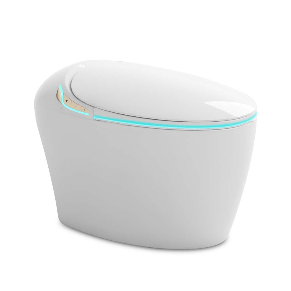 Bồn Cầu Điện Tử Ecod EBS339
