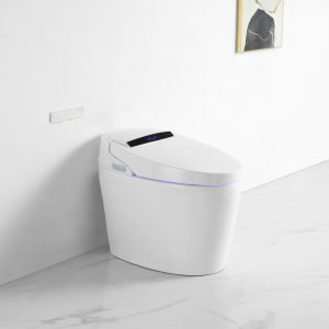 Ảnh công trình thực tế Bồn Cầu Điện Tử Ecod EBS589