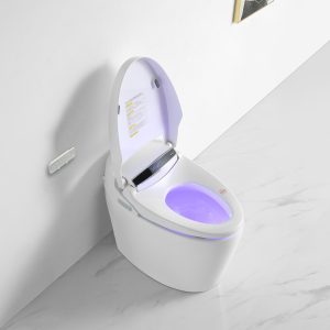 Ảnh công trình thực tế Bồn Cầu Điện Tử Ecod EBS589