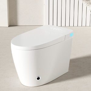 Ảnh công trình thực tế Bồn Cầu Điện Tử Ecod EBS669