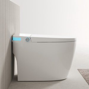 Ảnh công trình thực tế Bồn Cầu Điện Tử Ecod EBS669
