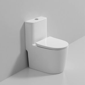 Ảnh công trình thực tế Bồn Cầu Liền Khối Ecod EB115-T